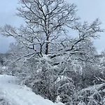 Le Grand Cerf Büllingen