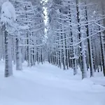 Le Grand Cerf 木屋