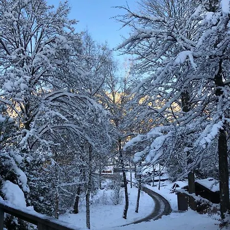 Chalet Le Grand Cerf