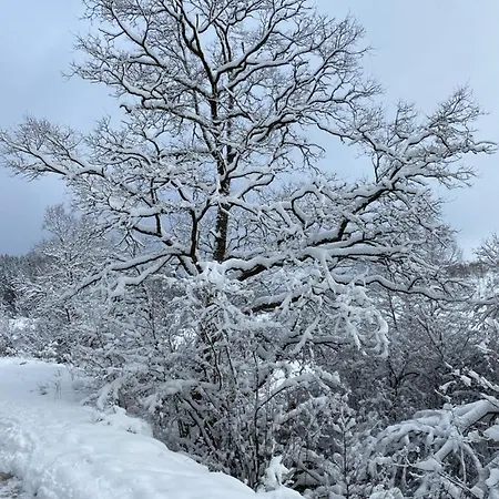 Le Grand Cerf Büllingen