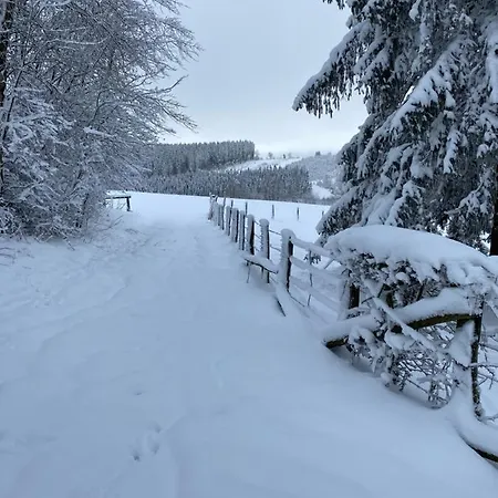 Chalet Le Grand Cerf *
