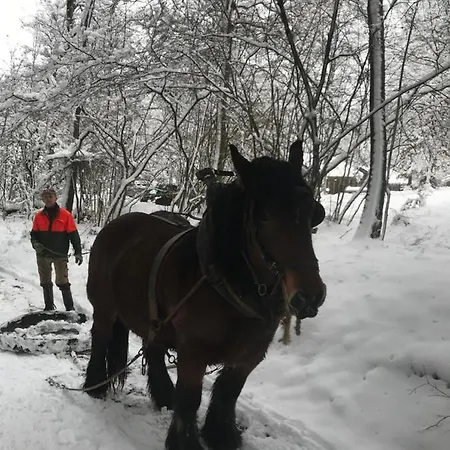 Le Grand Cerf