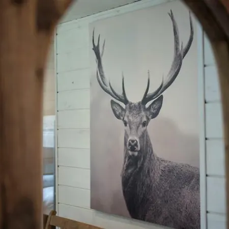 Chalet Le Grand Cerf *