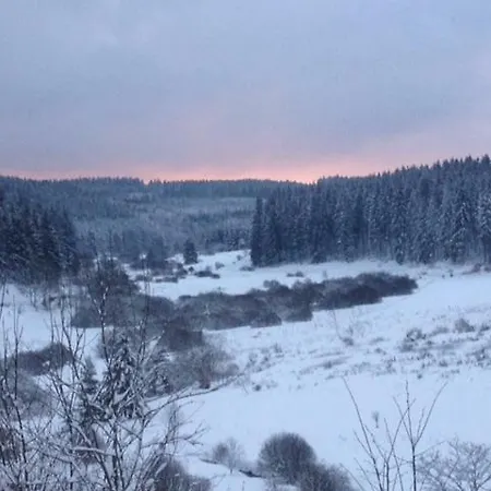 Le Grand Cerf * ビューリンゲン