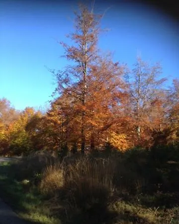 シャレー Le Grand Cerf *