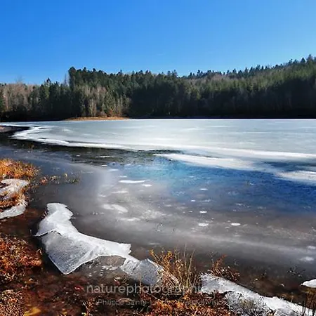 Chalet Le Grand Cerf *