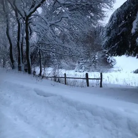 Chalet Le Grand Cerf Büllingen