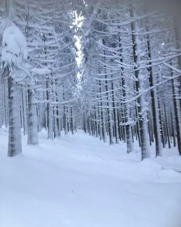 Le Grand Cerf Chalet