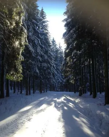 Chalet Le Grand Cerf Bullange