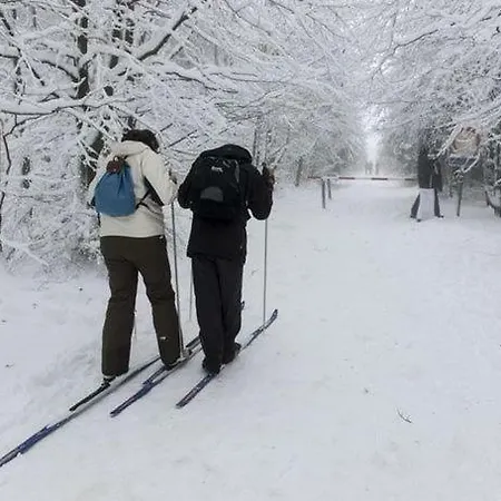 Le Grand Cerf シャレー