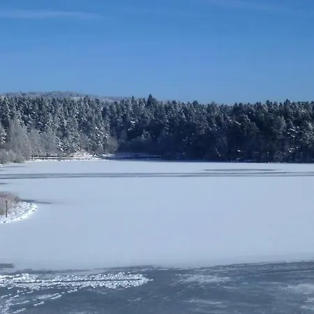 Le Grand Cerf シャレー ビューリンゲン