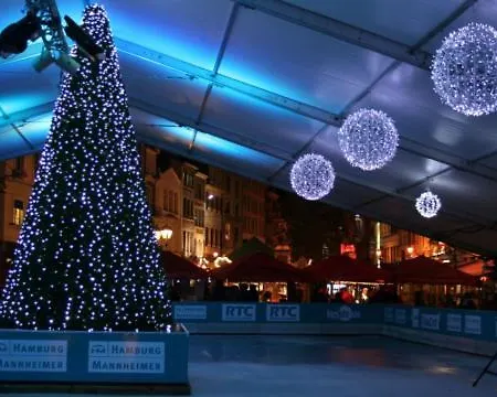 Le Grand Cerf ビューリンゲン