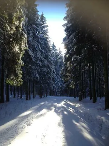 Chalet Le Grand Cerf Bullange/Büllingen